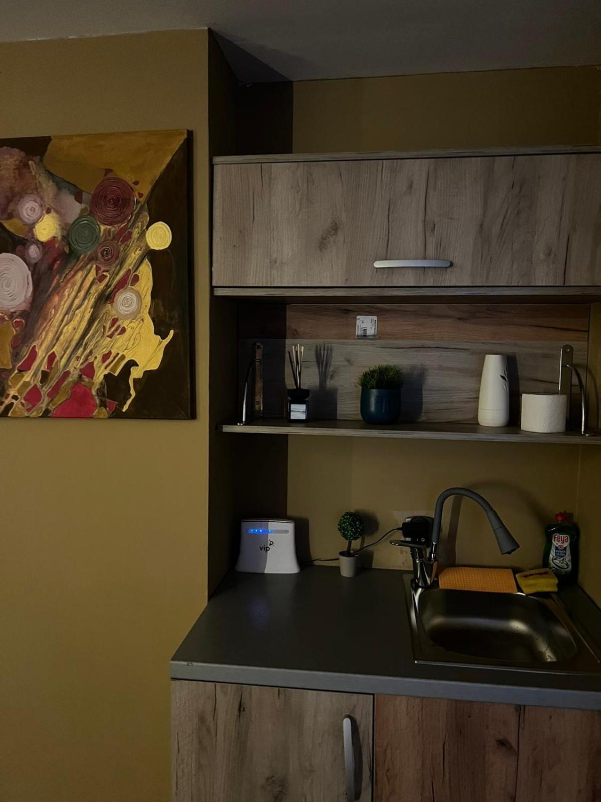 Skopje Apartment מראה חיצוני תמונה